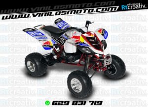ADHESIVOS Y PEGATINAS DE VINILO PARA YAMAHA RAPTOR 660 Rt004-13