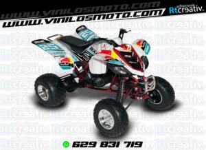 ADHESIVOS Y PEGATINAS DE VINILO PARA YAMAHA RAPTOR 660 Rt004-14