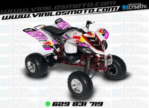 ADHESIVOS Y PEGATINAS DE VINILO PARA YAMAHA RAPTOR 660 Rt004-15