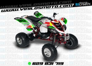 ADHESIVOS Y PEGATINAS DE VINILO PARA YAMAHA RAPTOR 660 Rt004-17