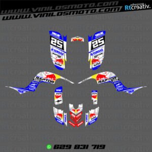 ADHESIVOS Y PEGATINAS DE VINILO PARA YAMAHA RAPTOR 660 Rt004-02