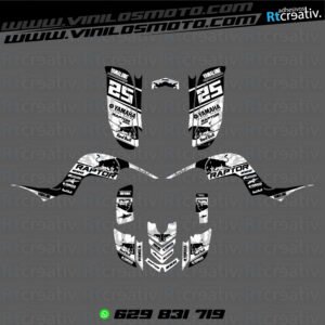 ADHESIVOS Y PEGATINAS DE VINILO PARA YAMAHA RAPTOR 660 Rt004-10
