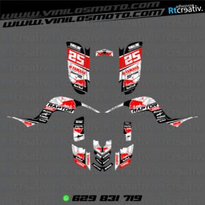 ADHESIVOS Y PEGATINAS DE VINILO PARA YAMAHA RAPTOR 660 Rt004-11