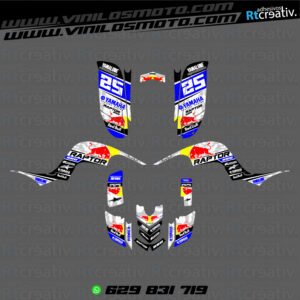 ADHESIVOS Y PEGATINAS DE VINILO PARA YAMAHA RAPTOR 660 Rt004-13