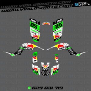 ADHESIVOS Y PEGATINAS DE VINILO PARA YAMAHA RAPTOR 660 Rt004-17