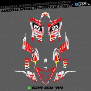 ADHESIVOS Y PEGATINAS DE VINILO PARA YAMAHA RAPTOR 700 Rt002-01