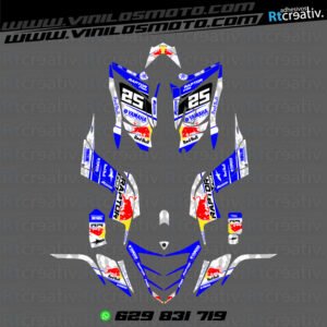 ADHESIVOS Y PEGATINAS DE VINILO PARA YAMAHA RAPTOR 700 Rt002-02