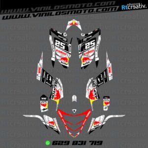 ADHESIVOS Y PEGATINAS DE VINILO PARA YAMAHA RAPTOR 700 Rt002-03