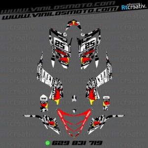 ADHESIVOS Y PEGATINAS DE VINILO PARA YAMAHA RAPTOR 700 Rt002-04