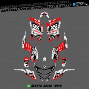 ADHESIVOS Y PEGATINAS DE VINILO PARA YAMAHA RAPTOR 700 Rt002-07