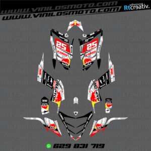 ADHESIVOS Y PEGATINAS DE VINILO PARA YAMAHA RAPTOR 700 Rt002-12