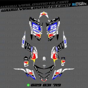 ADHESIVOS Y PEGATINAS DE VINILO PARA YAMAHA RAPTOR 700 Rt002-13