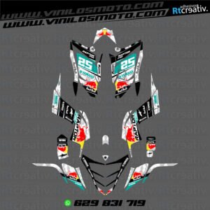 ADHESIVOS Y PEGATINAS DE VINILO PARA YAMAHA RAPTOR 700 Rt002-14