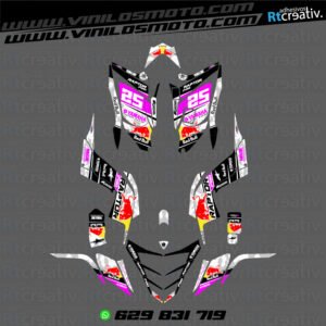 ADHESIVOS Y PEGATINAS DE VINILO PARA YAMAHA RAPTOR 700 Rt002-15