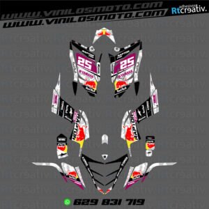 ADHESIVOS Y PEGATINAS DE VINILO PARA YAMAHA RAPTOR 700 Rt002-16