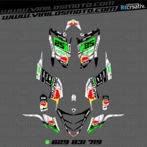ADHESIVOS Y PEGATINAS DE VINILO PARA YAMAHA RAPTOR 700 Rt002-17
