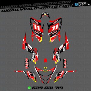 ADHESIVOS Y PEGATINAS DE VINILO PARA YAMAHA RAPTOR 700 Rt003-02