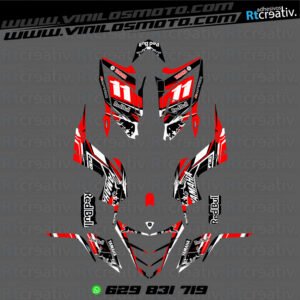 ADHESIVOS Y PEGATINAS DE VINILO PARA YAMAHA RAPTOR 700 Rt003-05