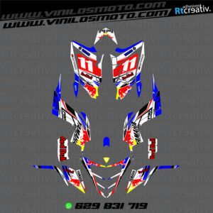 ADHESIVOS Y PEGATINAS DE VINILO PARA YAMAHA RAPTOR 700 Rt003-06