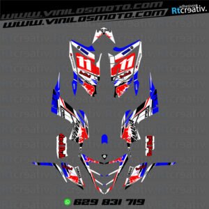 ADHESIVOS Y PEGATINAS DE VINILO PARA YAMAHA RAPTOR 700 Rt003-07