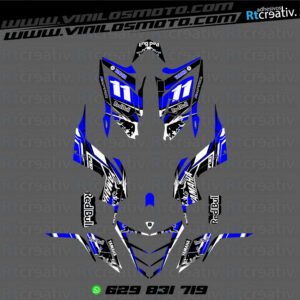ADHESIVOS Y PEGATINAS DE VINILO PARA YAMAHA RAPTOR 700 Rt003-08
