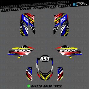 ADHESIVOS Y PEGATINAS DE VINILO PARA BOMBARDIER DS BAJA 650 Rt001-01