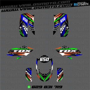 ADHESIVOS Y PEGATINAS DE VINILO PARA BOMBARDIER DS BAJA 650 Rt001-02