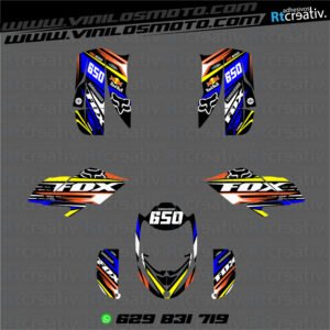 ADHESIVOS Y PEGATINAS DE VINILO PARA BOMBARDIER DS BAJA 650 Rt001-03