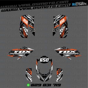 ADHESIVOS Y PEGATINAS DE VINILO PARA BOMBARDIER DS BAJA 650 Rt001-04