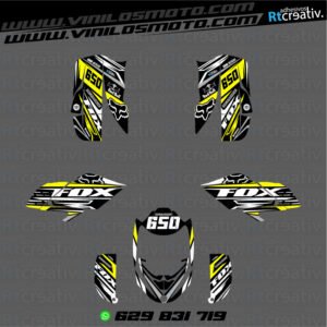 ADHESIVOS Y PEGATINAS DE VINILO PARA BOMBARDIER DS BAJA 650 Rt001-05