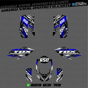ADHESIVOS Y PEGATINAS DE VINILO PARA BOMBARDIER DS BAJA 650 Rt001-06
