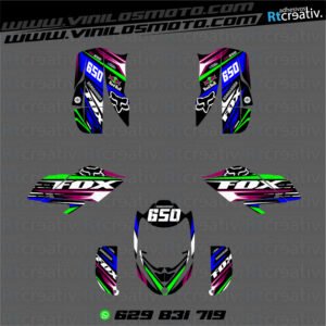 ADHESIVOS Y PEGATINAS DE VINILO PARA BOMBARDIER DS BAJA 650 Rt001-07