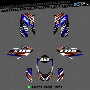 ADHESIVOS Y PEGATINAS DE VINILO PARA BOMBARDIER DS BAJA 650 Rt001-08