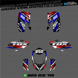 ADHESIVOS Y PEGATINAS DE VINILO PARA BOMBARDIER DS BAJA 650 Rt001-09