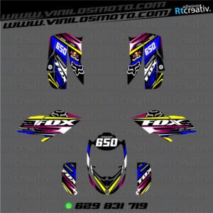 ADHESIVOS Y PEGATINAS DE VINILO PARA BOMBARDIER DS BAJA 650 Rt001-10