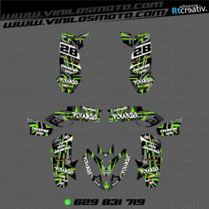 ADHESIVOS Y PEGATINAS DE VINILO PARA POLARIS PREDATOR 500 Rt001-07