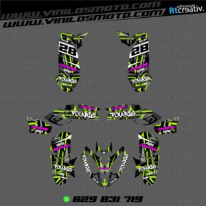 ADHESIVOS Y PEGATINAS DE VINILO PARA POLARIS PREDATOR 500 Rt001-10