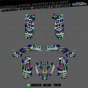 ADHESIVOS Y PEGATINAS DE VINILO PARA POLARIS PREDATOR 500 Rt001-11