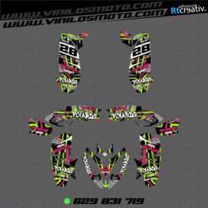 ADHESIVOS Y PEGATINAS DE VINILO PARA POLARIS PREDATOR 500 Rt001-12