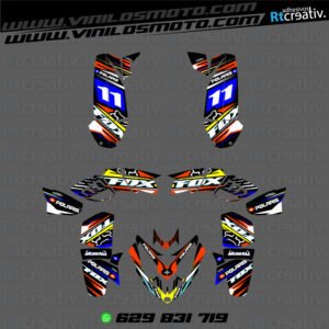 ADHESIVOS Y PEGATINAS DE VINILO PARA POLARIS PREDATOR 500 Rt002-03