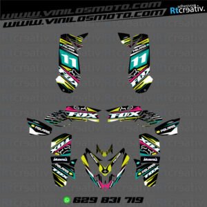 ADHESIVOS Y PEGATINAS DE VINILO PARA POLARIS PREDATOR 500 Rt002-04
