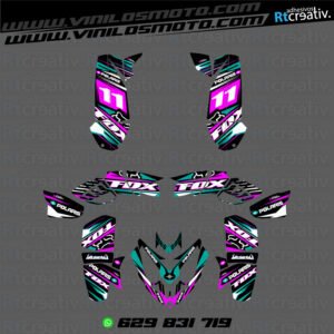 ADHESIVOS Y PEGATINAS DE VINILO PARA POLARIS PREDATOR 500 Rt002-05