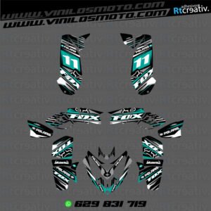 ADHESIVOS Y PEGATINAS DE VINILO PARA POLARIS PREDATOR 500 Rt002-06