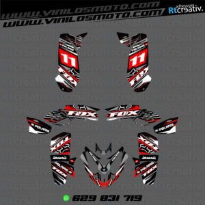 ADHESIVOS Y PEGATINAS DE VINILO PARA POLARIS PREDATOR 500 Rt002-07