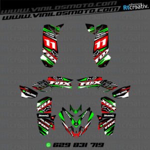 ADHESIVOS Y PEGATINAS DE VINILO PARA POLARIS PREDATOR 500 Rt002-08