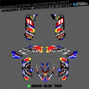 ADHESIVOS Y PEGATINAS DE VINILO PARA POLARIS PREDATOR 500 Rt004-01