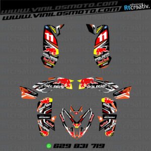 ADHESIVOS Y PEGATINAS DE VINILO PARA POLARIS PREDATOR 500 Rt004-02