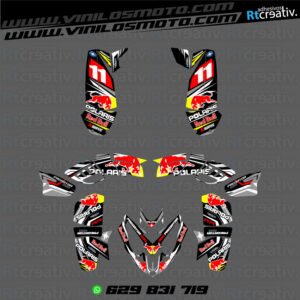 ADHESIVOS Y PEGATINAS DE VINILO PARA POLARIS PREDATOR 500 Rt004-03