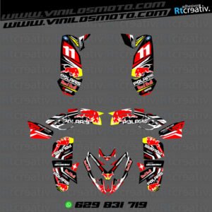 ADHESIVOS Y PEGATINAS DE VINILO PARA POLARIS PREDATOR 500 Rt004-04