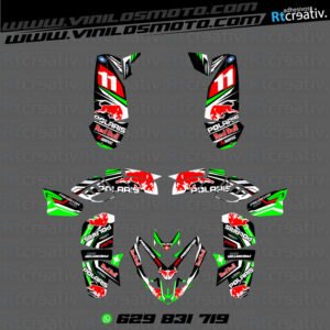 ADHESIVOS Y PEGATINAS DE VINILO PARA POLARIS PREDATOR 500 Rt004-05